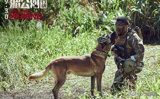 用毒品控制小孩,炸燬中國大使館,毒販到底有多喪心病狂? 用毒品控制小孩,炸燬中國大使館,毒販到底有多喪心病狂?