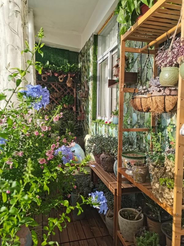 越養花越貧窮?其實養花也能賺錢,完全可以滿足養花的開銷 越養花越貧窮?其實養花也能賺錢,完全可以滿足養花的開銷