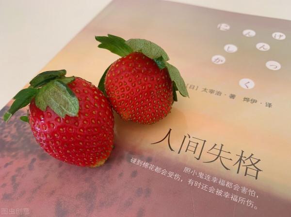 來自《人間失格》的告白 來自《人間失格》的告白