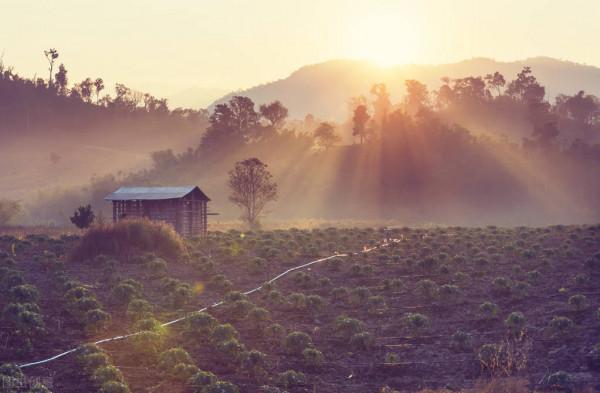 人活到極致：會賺錢，能獨處，常讀書