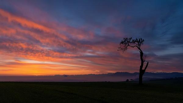 人到中年,這三種份子錢,謹慎隨禮 人到中年,這三種份子錢,謹慎隨禮