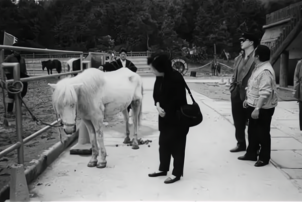 “當家主母殺貓事件”登上熱搜:倘若藝術沾了鮮血,觀眾寧願不看 “當家主母殺貓事件”登上熱搜:倘若藝術沾了鮮血,觀眾寧願不看