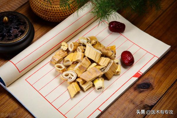 每天認識一味中藥－－蘆根