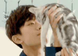 男明星的溫柔與寵溺都給了萌寵,好羨慕 男明星的溫柔與寵溺都給了萌寵,好羨慕