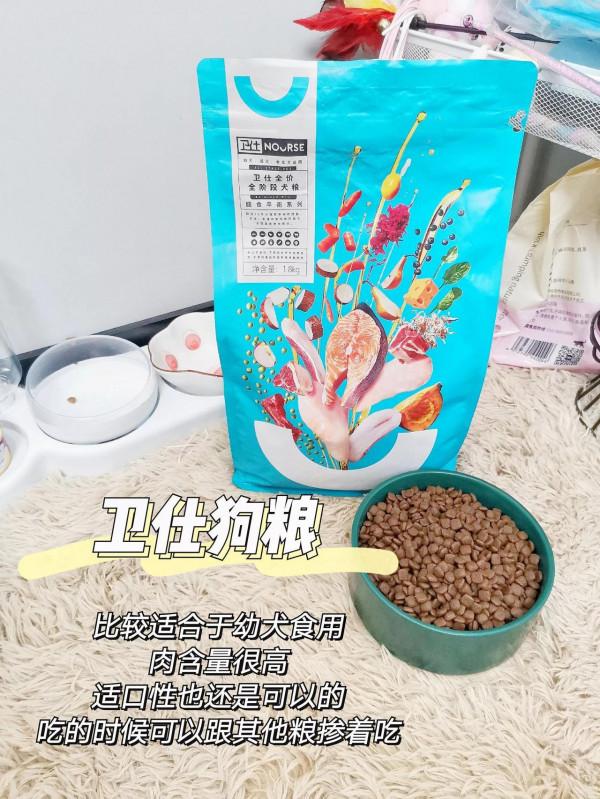 狗狗挑食怎麼辦，那可能是餵了“毒”狗糧