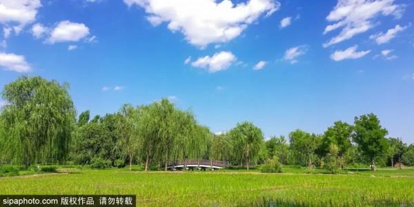 野趣十足!抓住假期尾巴!來家門口這些郊野公園溜達 野趣十足!抓住假期尾巴!來家門口這些郊野公園溜達