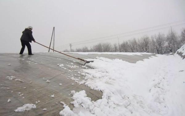 溫室大棚該如何應對雪天對農作物的危害?最全措施來了 溫室大棚該如何應對雪天對農作物的危害?最全措施來了