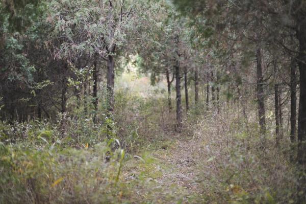 北京徒步登山:人少且免費的爬山步道,房山石花洞鳥語林風景區 北京徒步登山:人少且免費的爬山步道,房山石花洞鳥語林風景區