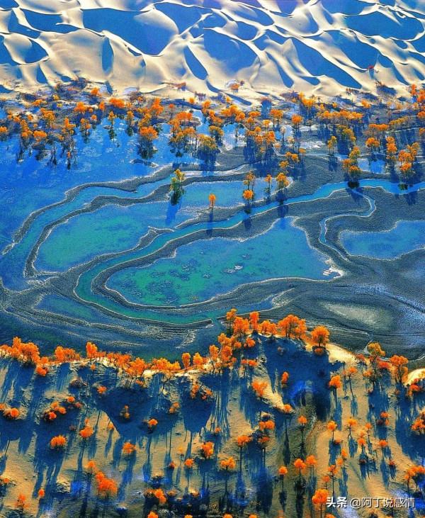 保持自我精進，才是通往成功的捷徑