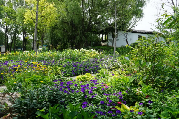 京城這個爆火的4A級景區，你打卡了嗎？快收下這份經典路線攻略，跟著走就行！