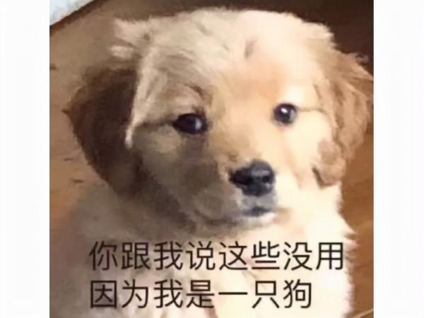 為追求班花，集全班之力拿下全服財富第一，卻還是輸給了富二代