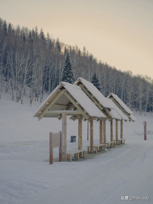 中國最美民宿一晚6000，網友看完：太便宜了&period;&period;&period;