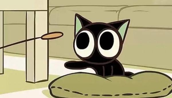 貓咪品種介紹大全！我們應該怎麼選擇適合自己的貓咪？