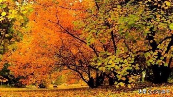 2021好幸運，和你在昌平走過春夏秋冬