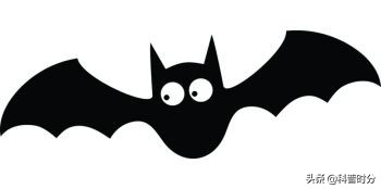 不同動物眼中的世界，看完你還相信我們看到的世界才是真實的嗎？