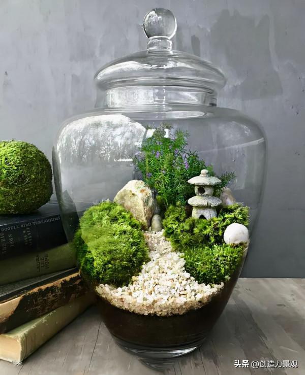把大自然裝進瓶子裡，種在瓶子裡的微景觀究竟有多美？