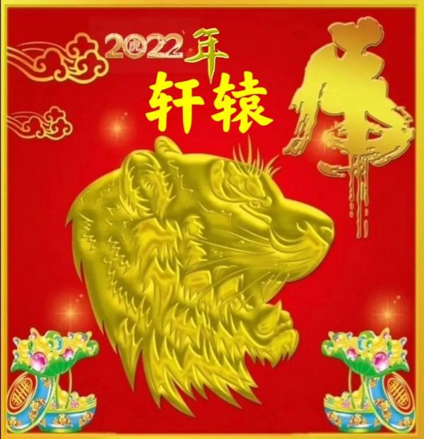 2022年金虎姓氏頭像十二