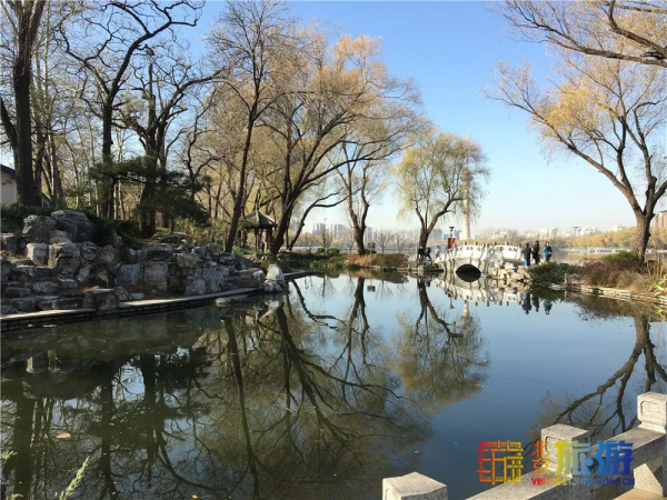 唯美浪漫！京城這個公園的水杉還紅著，錯過等明年~【送年票】