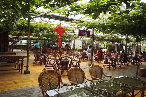 長三角這9條美麗鄉村休閒旅遊行（秋季）路線，你走過幾條？