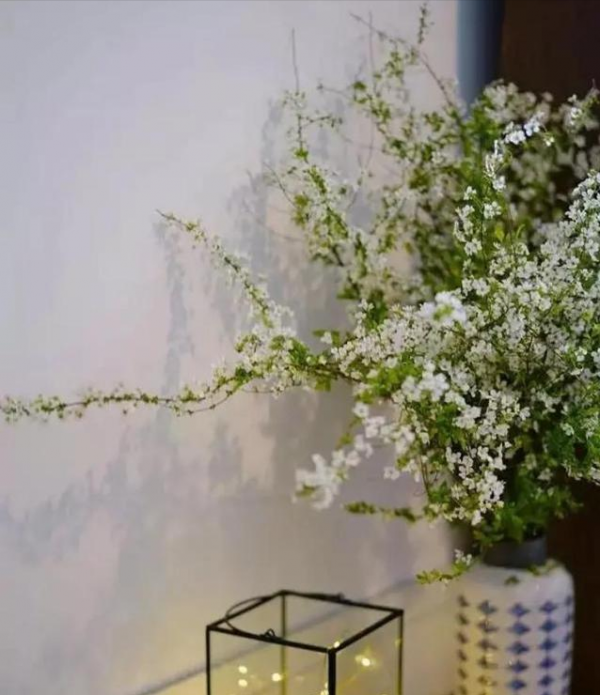 這“三種花”不能養，已被央視列入“黑名單”，別再傻傻當作寶