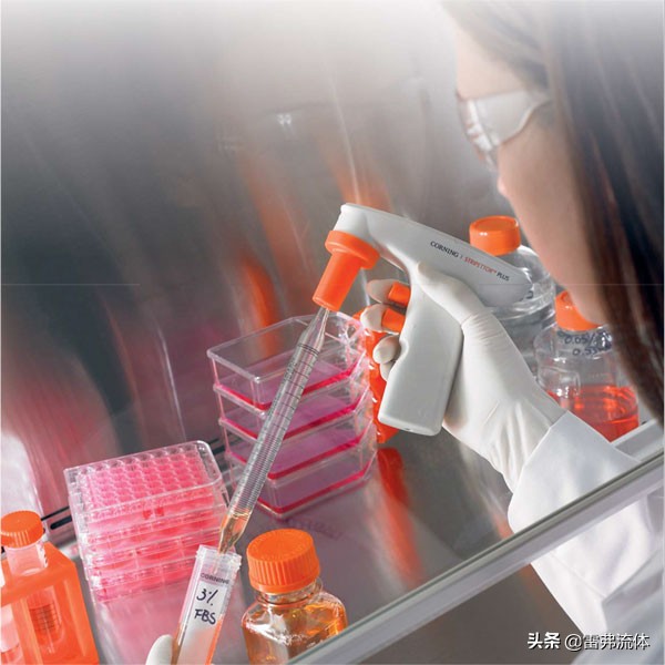 Vero細胞是什麼？它能做什麼？