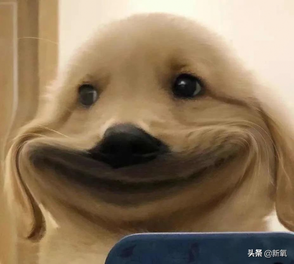 看了歐陽娜娜新的臉,手裡的零食瞬間就不香了 看了歐陽娜娜新的臉,手裡的零食瞬間就不香了