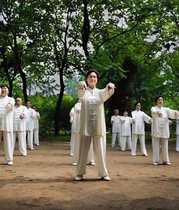 楊式太極拳 楊式太極拳