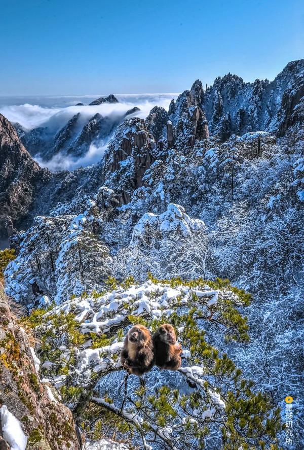 出發！看中國五大國家公園