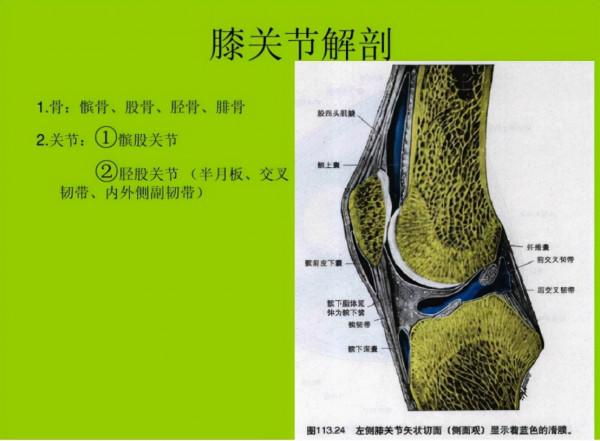 老年人骨關節炎吃氨糖就可以?專家給出一線用藥,療效更確切 老年人骨關節炎吃氨糖就可以?專家給出一線用藥,療效更確切