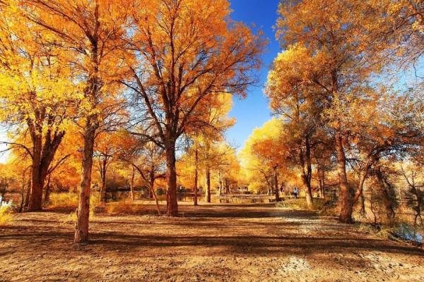 甘肅,不折不扣的“人間天堂”,25個景點美了千年,卻低調萬年~ 甘肅,不折不扣的“人間天堂”,25個景點美了千年,卻低調萬年~