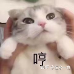 你有什麼建議給女孩子嗎? 你有什麼建議給女孩子嗎?