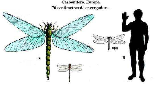 一口氣看完46億年地球史,原來人類如此渺小 一口氣看完46億年地球史,原來人類如此渺小