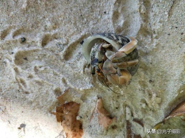 泰國甲米島，才是安達曼海岸邊最美的地方