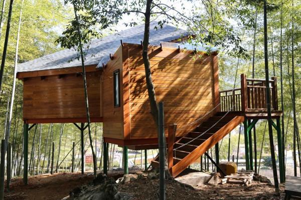 菲特威爾木屋：林間木屋，打造野奢營地的網紅地標