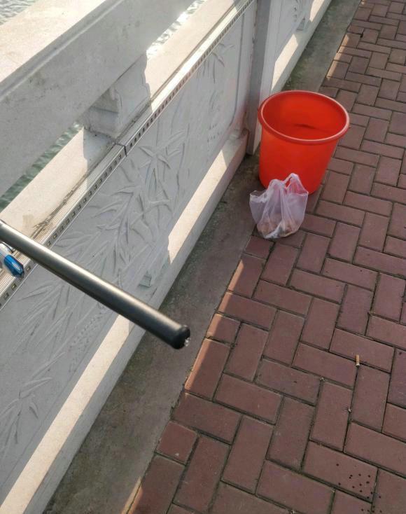 江蘇釣友河邊釣魚，忽然來了幾波人放生大閘蟹，釣友：我釣了幾隻