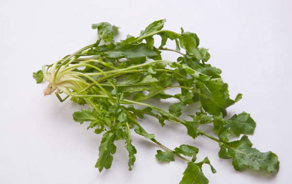 不建議常吃的6種蔬菜,為了健康,進來看看有你愛吃的嗎? 不建議常吃的6種蔬菜,為了健康,進來看看有你愛吃的嗎?