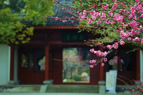 國學十二道,道道扣心絃! 國學十二道,道道扣心絃!