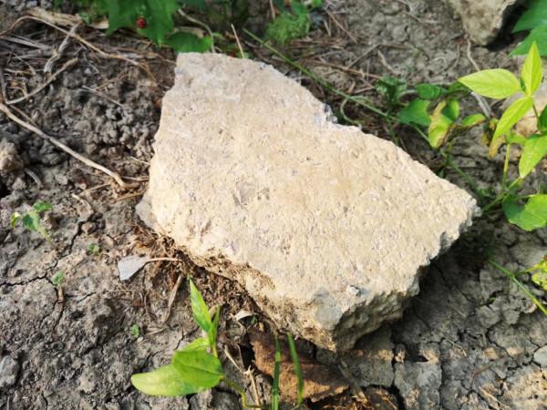 摩托周邊旮旯遊——尋朱元璋出家之於皇寺 摩托周邊旮旯遊——尋朱元璋出家之於皇寺