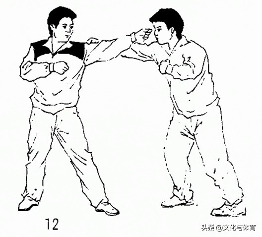 峨眉拳技擊法解析丨峨嵋樁、打上堵下