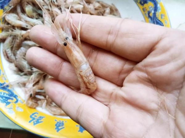 冬天吃餃子就吃這餡,比韭菜白菜香多了,一口一個特過癮,賊鮮 冬天吃餃子就吃這餡,比韭菜白菜香多了,一口一個特過癮,賊鮮