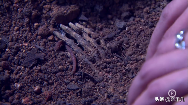 “天眼少女”堪稱童年陰影,TVB《法證先鋒3》根據真實案件改編 “天眼少女”堪稱童年陰影,TVB《法證先鋒3》根據真實案件改編