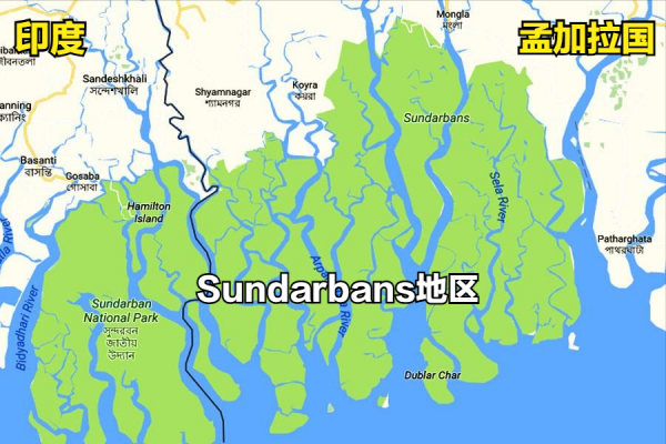 印度的桑達班斯:人們與野生老虎面對面生活的地方 印度的桑達班斯:人們與野生老虎面對面生活的地方