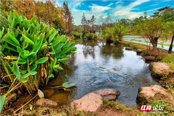在衡陽這座公園裡，我遇到古典美學與現代藝術的碰撞與融合