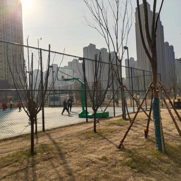 多運動，身體倍棒