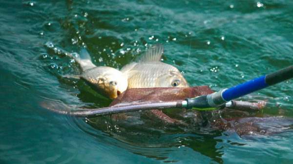 冬季垂釣，貴在良辰吉時