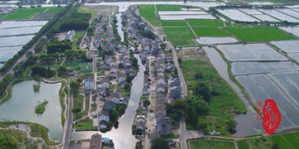 【探索】養在青吳嘉~靜享夏日，江南鄉村美如畫