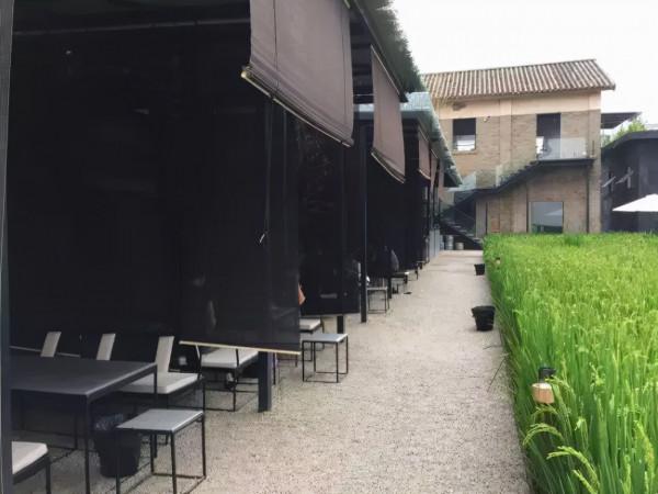 菜吧:稻田裡的民宿,滿足了人們對田園風光的無限遐想 菜吧:稻田裡的民宿,滿足了人們對田園風光的無限遐想