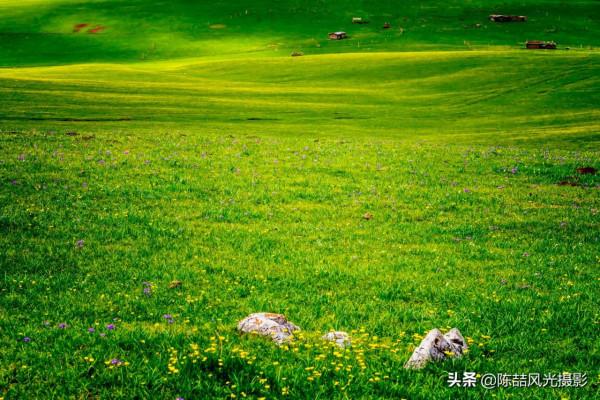 2017年5月26日 新疆喀拉峻大草原