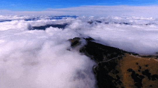 中國神農架深處真的不被允許前往嗎?為什麼要設立人類禁區? 中國神農架深處真的不被允許前往嗎?為什麼要設立人類禁區?