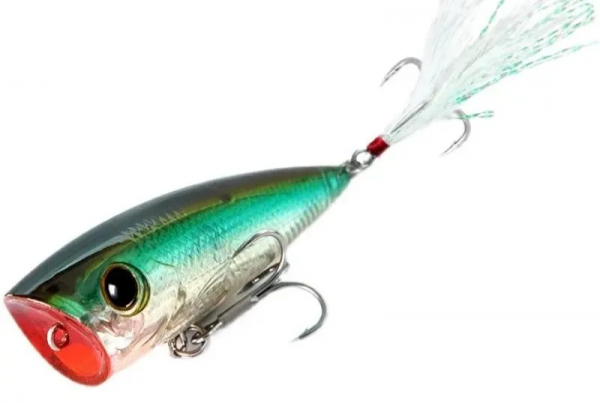 藍旗魚路亞 &vert; 2022年福袋，虎虎生威，第一波今晚開搶